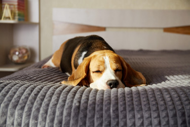 Similar image 21849990