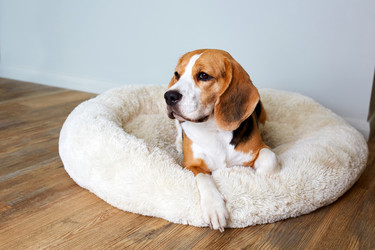 Similar image 21849991