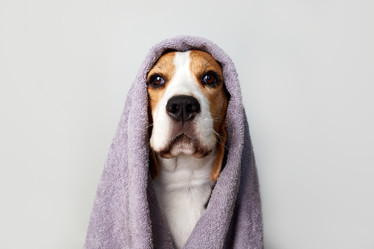 Similar image 21849993