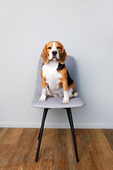 Similar image 21849994