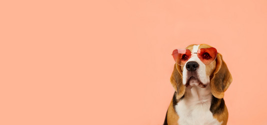 Similar image 21849996