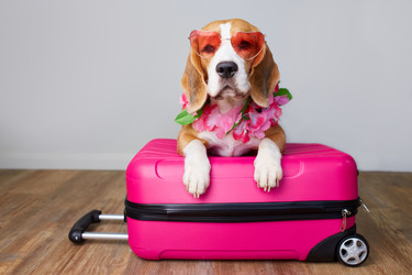 Similar image 21850000