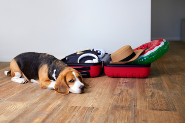 Similar image 21850004