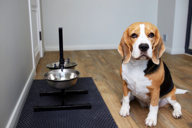 Similar image 21850007