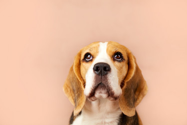 Similar image 21850010