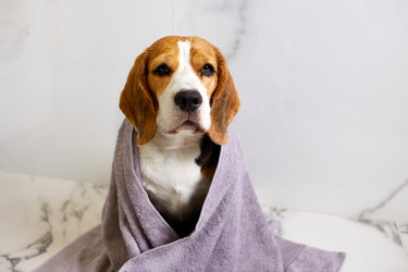 Similar image 21850013