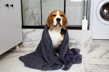 Similar image 21850014