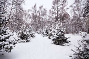 Similar image 21850015