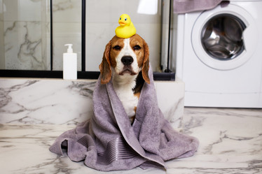 Similar image 21850016