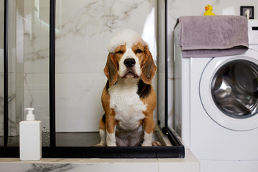 Similar image 21850018