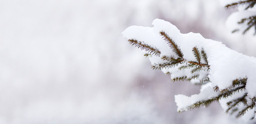 Similar image 21850023