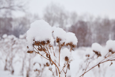 Similar image 21850030