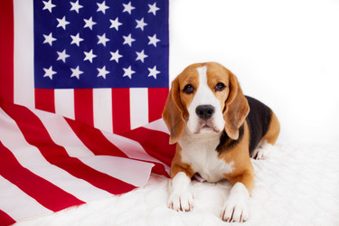 Similar image 21850031