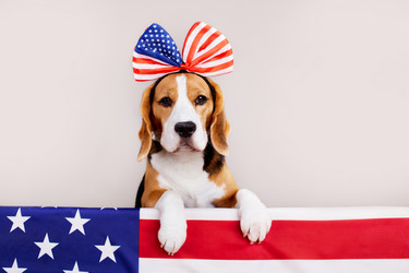 Similar image 21850039