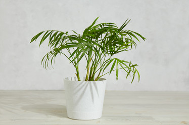 Similar image 21850042