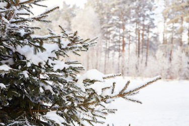 Similar image 21850048