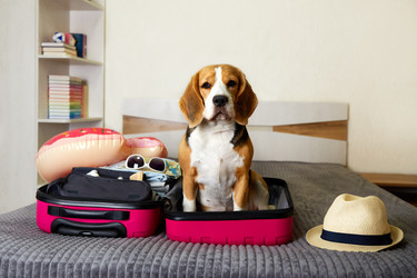 Similar image 21850050