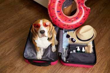 Similar image 21850051