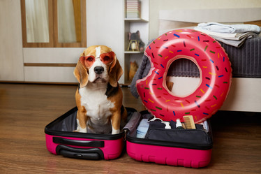 Similar image 21850053