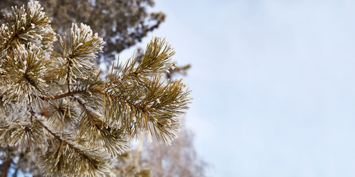 Similar image 21850055