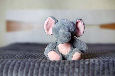 Similar image 21850077