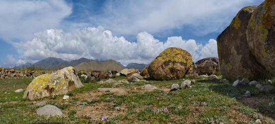 Similar image 21853704