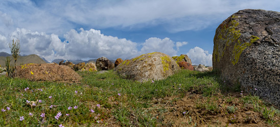 Similar image 21853706