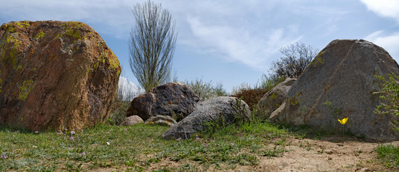 Similar image 21853707