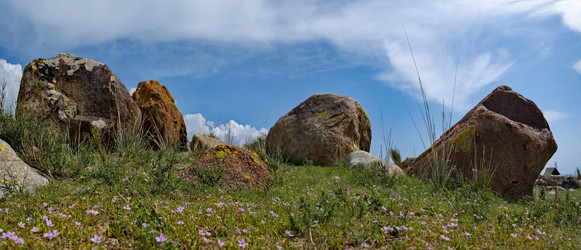 Similar image 21853708