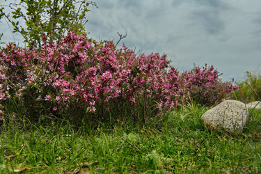 Similar image 21856415