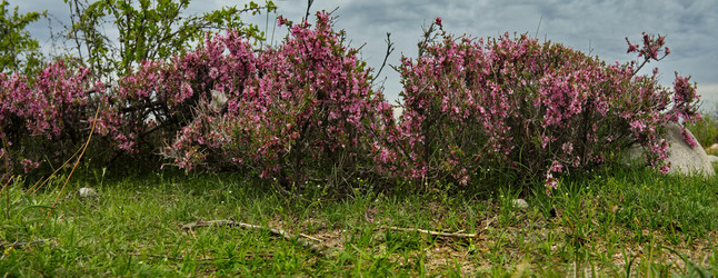 Similar image 21856416