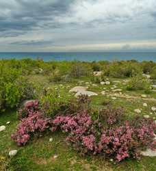 Similar image 21856418