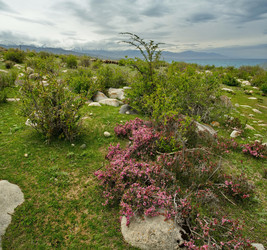 Similar image 21856419