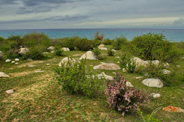 Similar image 21856420