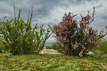 Similar image 21856421