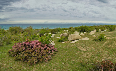 Similar image 21856422