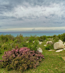 Similar image 21856423