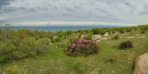 Similar image 21856424