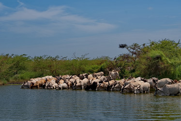 Similar image 21850712