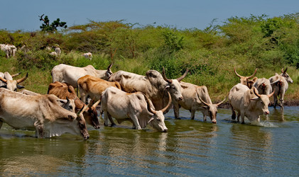 Similar image 21850713