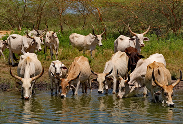 Similar image 21850714