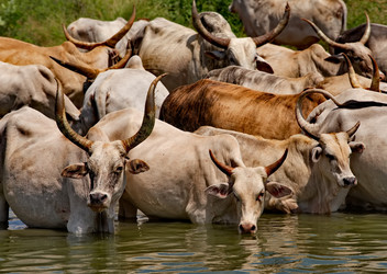 Similar image 21850715