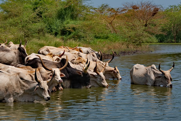 Similar image 21850717