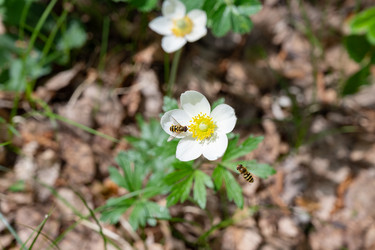 Similar image 21855658