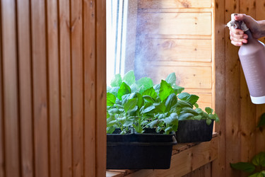 Similar image 21855667