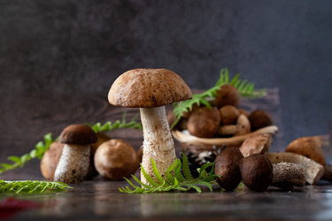 Similar image 21855670