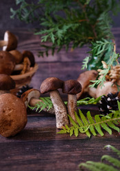 Similar image 21855671