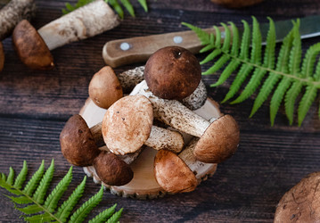 Similar image 21855672