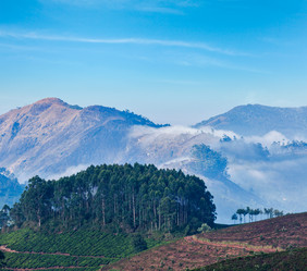 Similar image 21850528