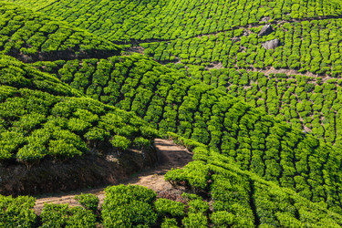 Similar image 21852864